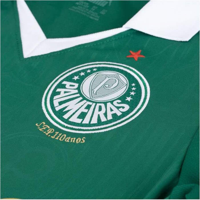 1a Equipacion Camiseta Palmeiras 2024 - Haga un click en la imagen para cerrar